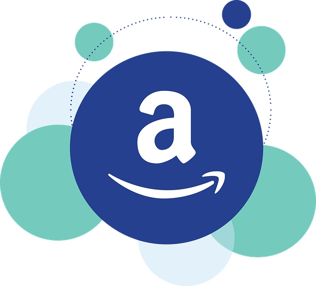 Mit Amazon und Dropshipping online Geld verdienen